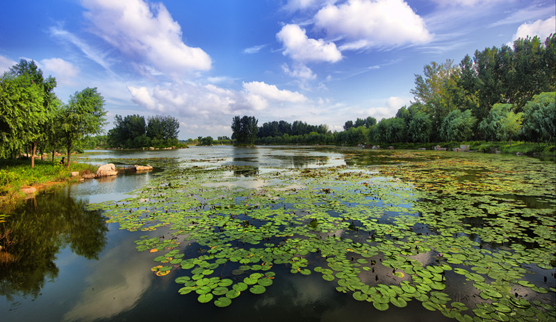 _DSC5122t_副本.jpg