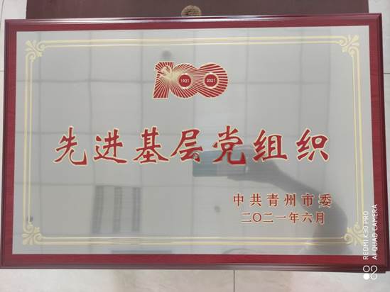 建党100周年“先进基层党组织”